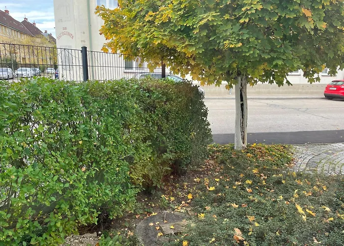 Rosis Wiener Neustadt